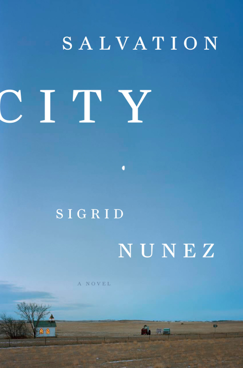 Cover image for book Salvation City
