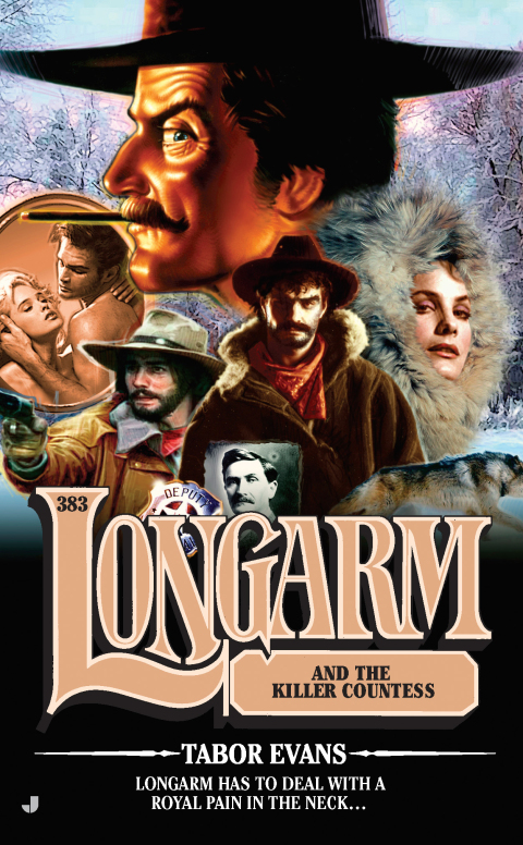 Cover image for book Longarm 383