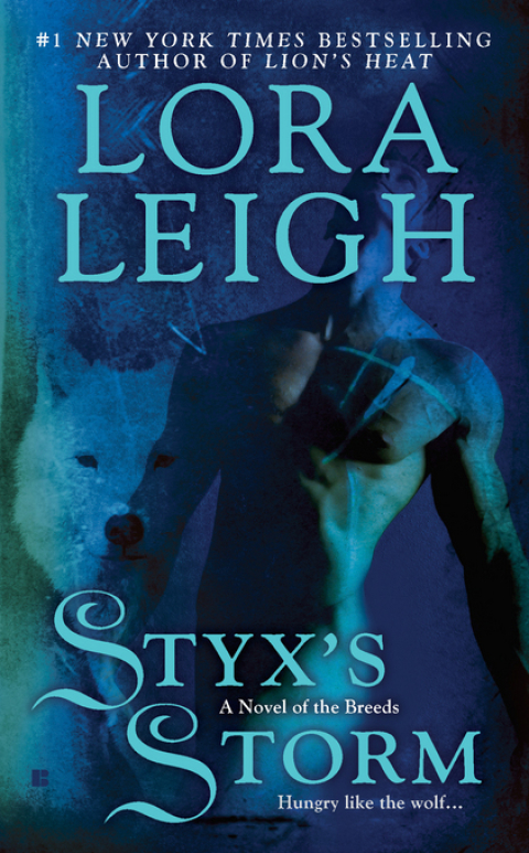 Cover image for book Styx's Storm