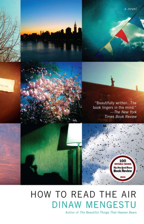 Cover image for book How to Read the Air