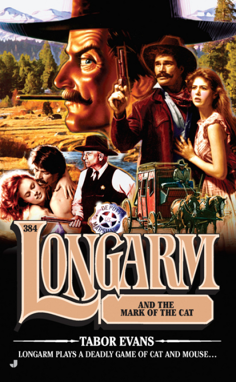 Cover image for book Longarm 384