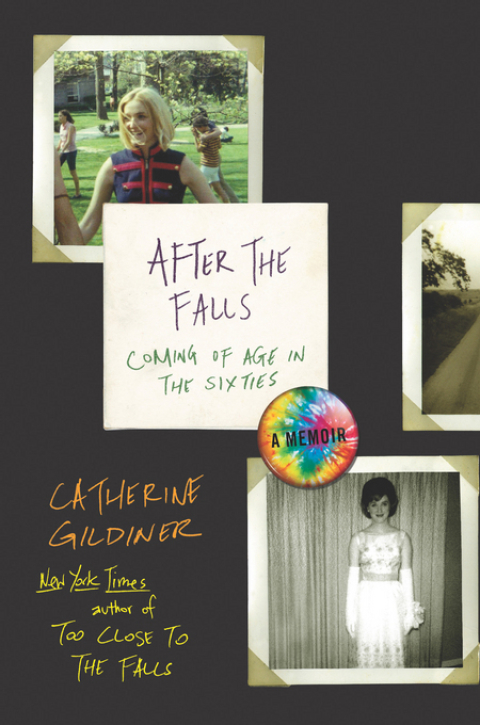 Cover image for book After the Falls