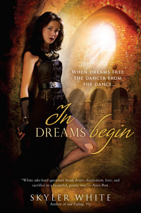Cover image for book In Dreams Begin