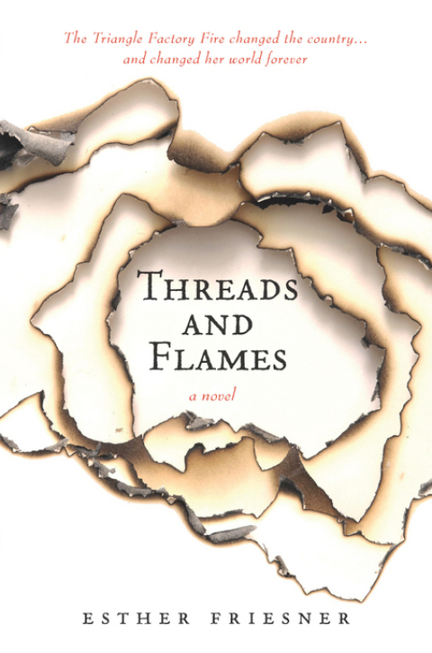 Cover image for book Threads and Flames