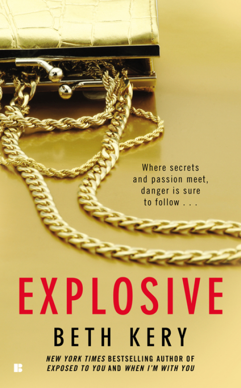 Cover image for book Explosive