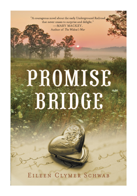 Cover image for book Promise Bridge