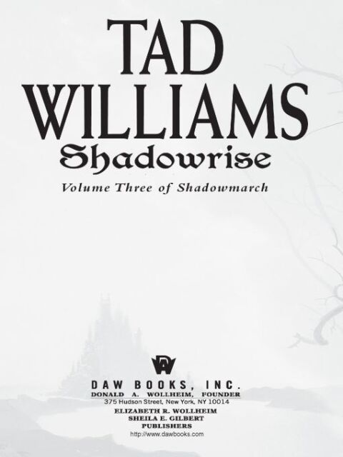 Cover image for book Shadowrise