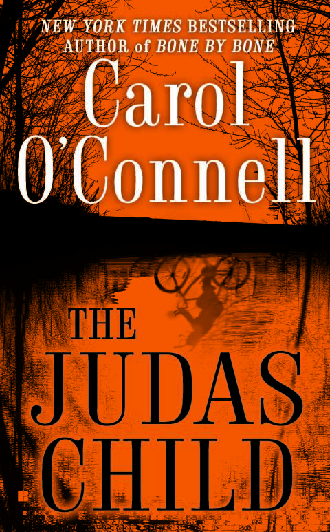 Cover image for book The Judas Child