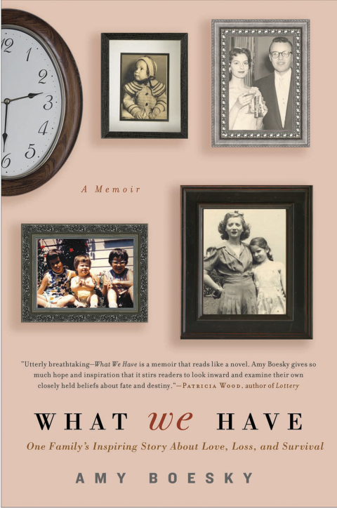 Cover image for book What We Have