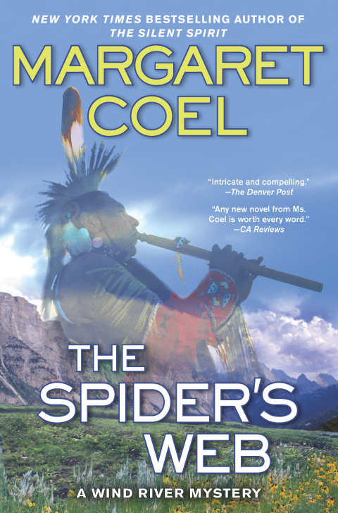 Cover image for book The Spider's Web