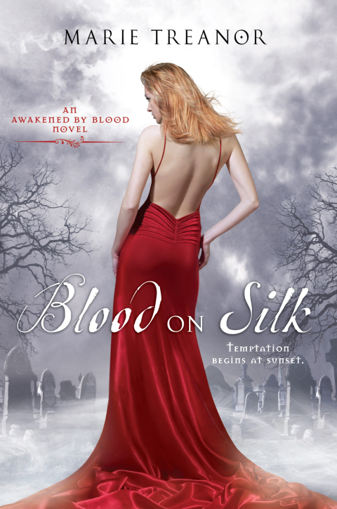 Cover image for book Blood on Silk