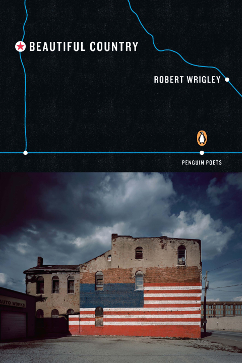 Cover image for book Beautiful Country