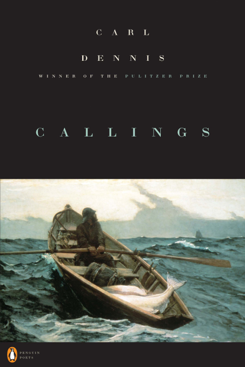 Cover image for book Callings