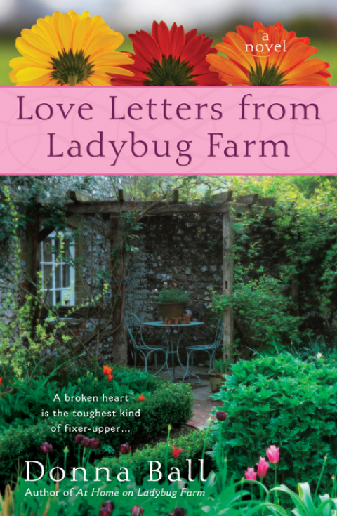 Cover image for book Love Letters from Ladybug Farm