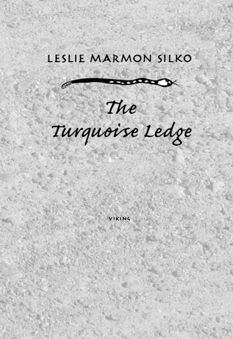 Cover image for book The Turquoise Ledge