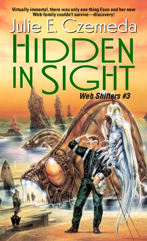 Cover image for book Hidden in Sight