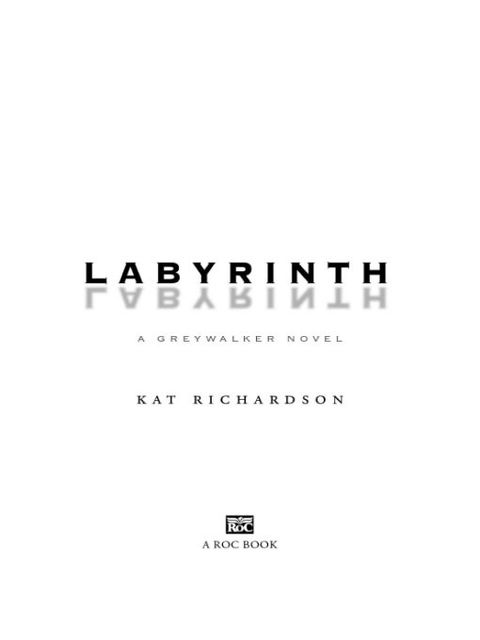 Cover image for book Labyrinth