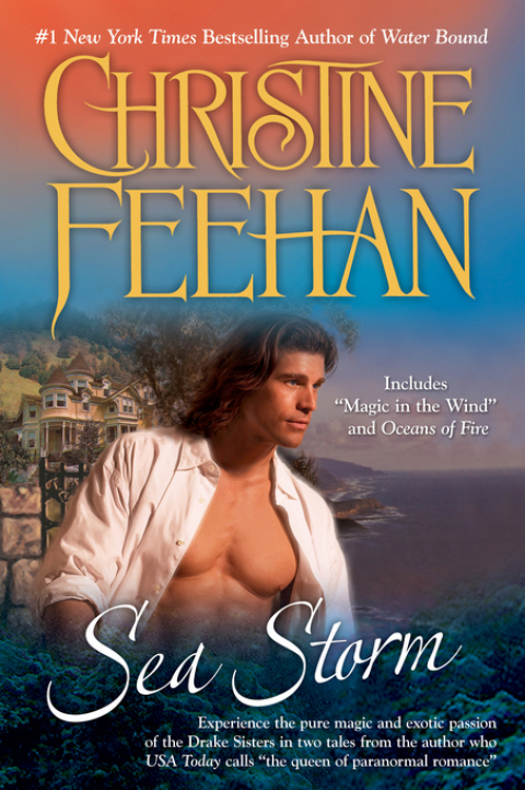 Cover image for book Sea Storm