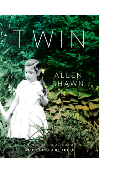 Cover image for book Twin