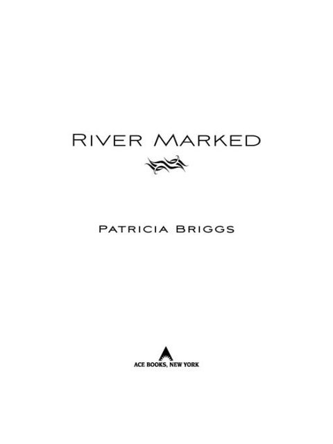 Cover image for book River Marked