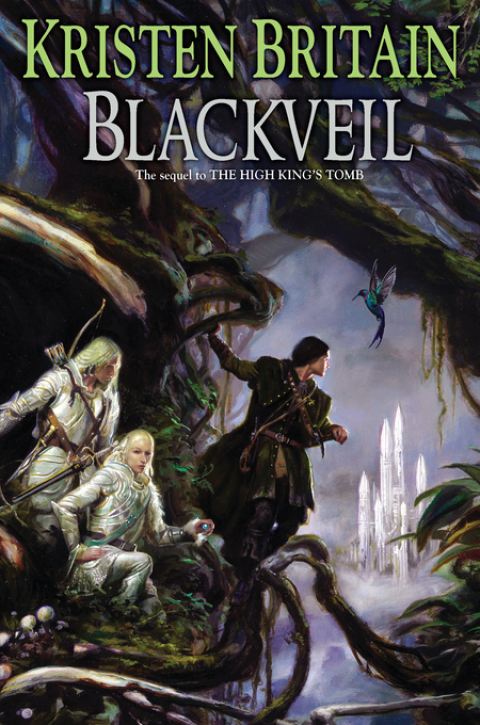 Cover image for book Blackveil