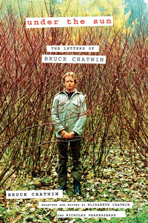 Cover image for book Under the Sun