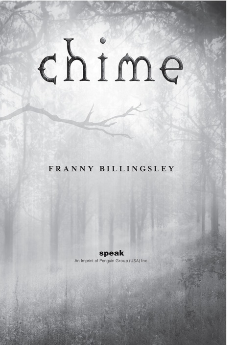 Cover image for book Chime