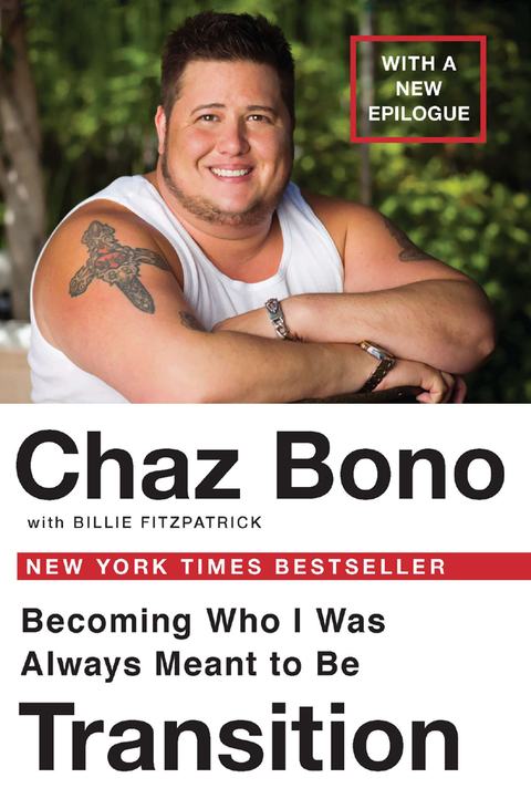 Cover image for book Transition