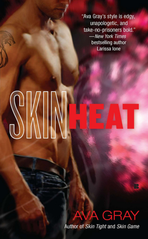 Cover image for book Skin Heat