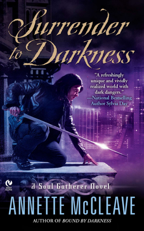 Cover image for book Surrender to Darkness