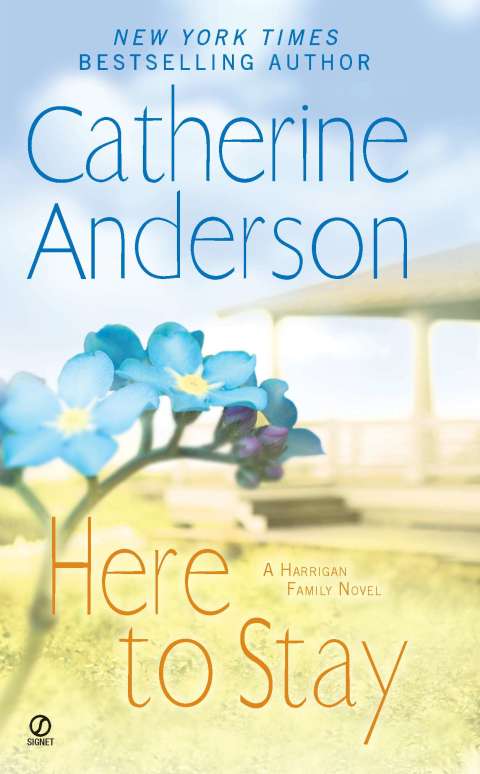 Cover image for book Here to Stay
