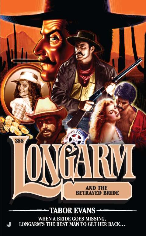 Cover image for book Longarm #388