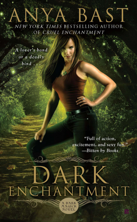 Cover image for book Dark Enchantment