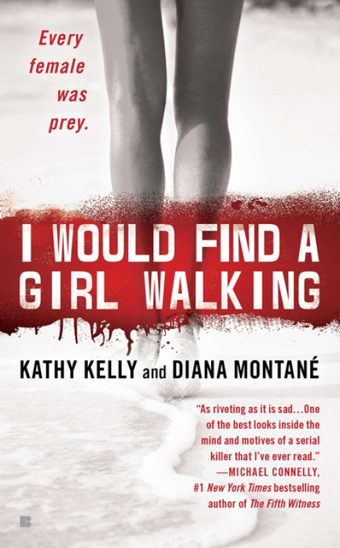 Cover image for book I Would Find a Girl Walking