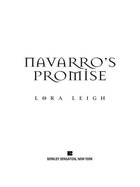 Cover image for book Navarro's Promise