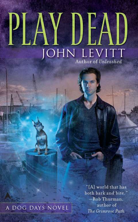 Cover image for book Play Dead