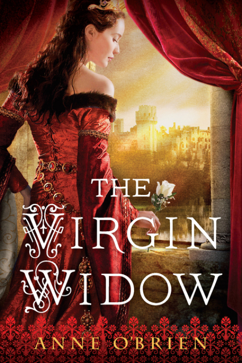 Cover image for book The Virgin Widow