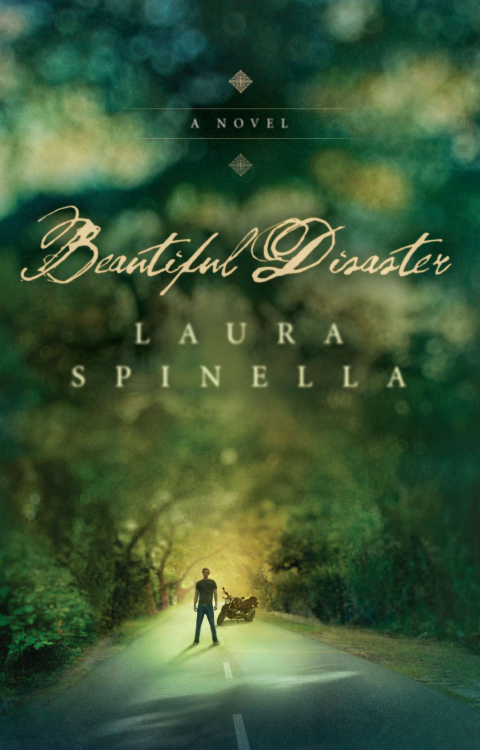 Cover image for book Beautiful Disaster