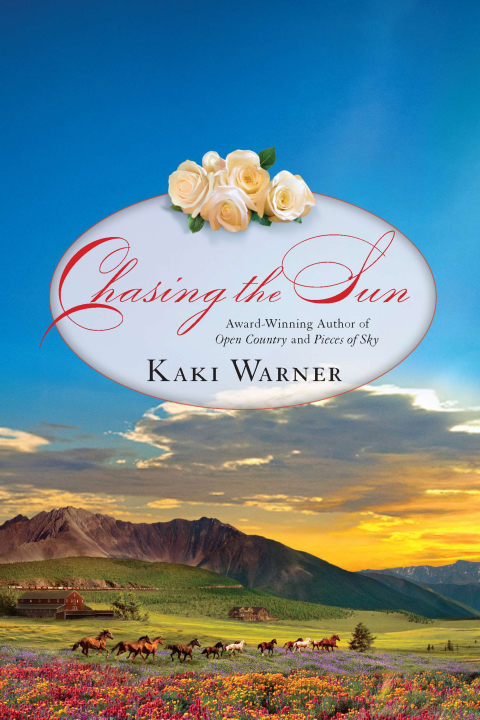 Cover image for book Chasing the Sun