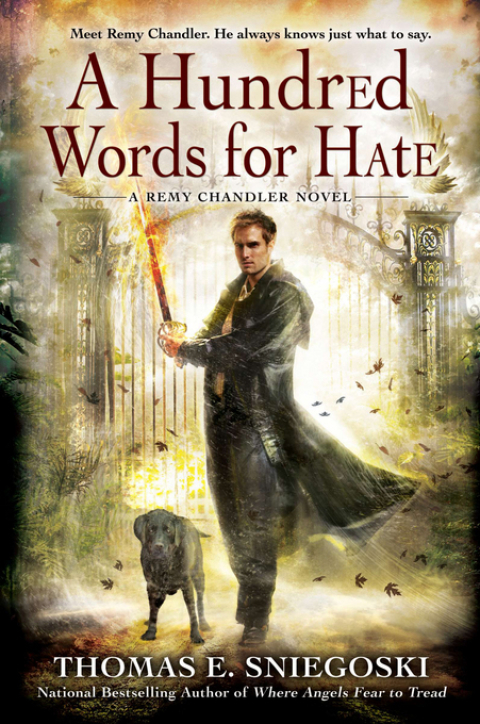 Cover image for book A Hundred Words for Hate