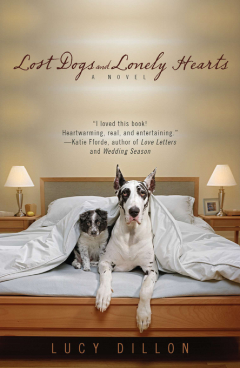 Cover image for book Lost Dogs and Lonely Hearts