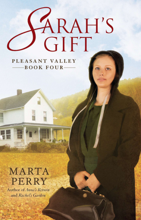 Cover image for book Sarah's Gift