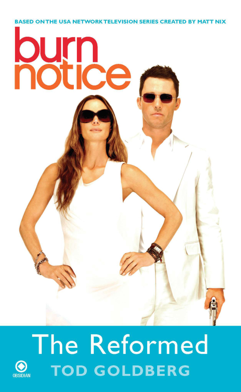 Cover image for book Burn Notice: the Reformed