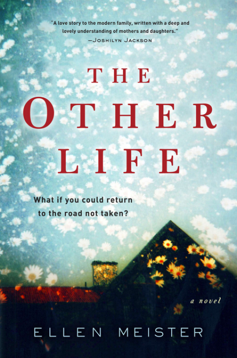Cover image for book The Other Life