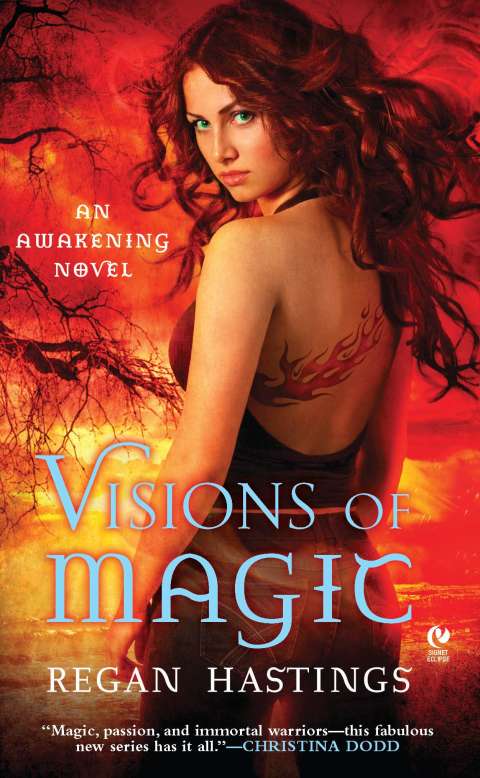 Cover image for book Visions of Magic