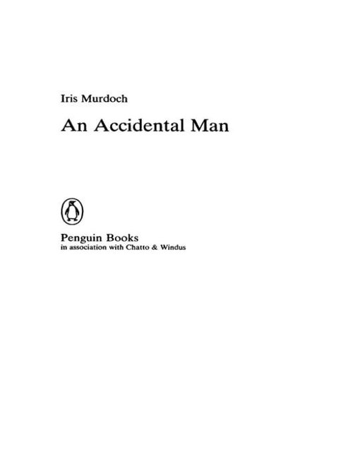 Cover image for book AN Accidental Man