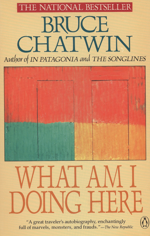 Cover image for book What Am I Doing Here