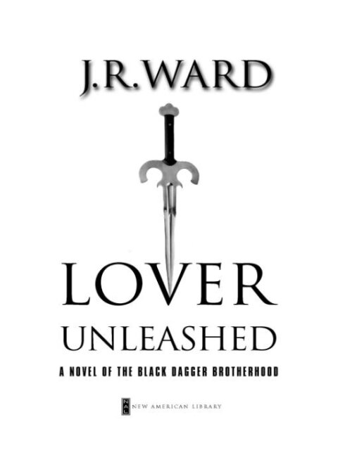 Cover image for book Lover Unleashed