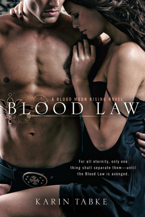 Cover image for book Blood Law