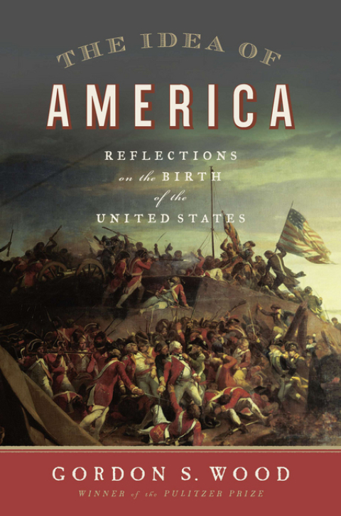 Cover image for book The Idea of America